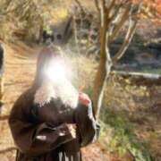 ヒメ日記 2025/12/06 11:51 投稿 薫子【カオルコ】 ピンクコレクション大阪キタ店