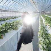 ヒメ日記 2026/01/28 20:29 投稿 薫子【カオルコ】 ピンクコレクション大阪キタ店