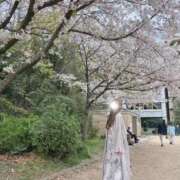 ヒメ日記 2026/04/06 14:01 投稿 薫子【カオルコ】 ピンクコレクション大阪キタ店