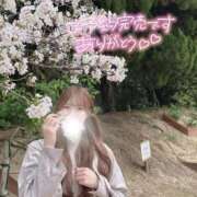 ヒメ日記 2026/04/08 17:16 投稿 薫子【カオルコ】 ピンクコレクション大阪キタ店