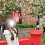 薫子【カオルコ】 今年最後🌸 ピンクコレクション大阪キタ店