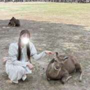 ヒメ日記 2026/04/14 15:05 投稿 薫子【カオルコ】 ピンクコレクション大阪キタ店