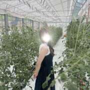 ヒメ日記 2025/08/12 18:04 投稿 薫子【カオルコ】 ピンクコレクション尼崎店