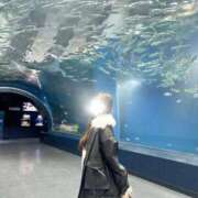 薫子【カオルコ】 すっきり〜☀️ ピンクコレクション尼崎店