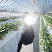 ヒメ日記 2026/01/28 20:22 投稿 薫子【カオルコ】 ピンクコレクション尼崎店