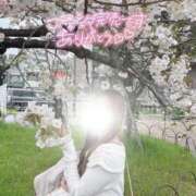 ヒメ日記 2026/04/17 12:22 投稿 薫子【カオルコ】 ピンクコレクション尼崎店