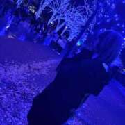 ヒメ日記 2024/12/14 03:08 投稿 ほたて 完全密室 無抵抗