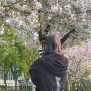 ヒメ日記 2025/04/14 16:00 投稿 ほたて 完全密室 無抵抗