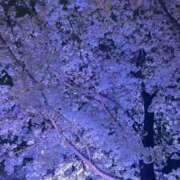 ヒメ日記 2025/02/16 14:00 投稿 いおり チューリップ土浦店