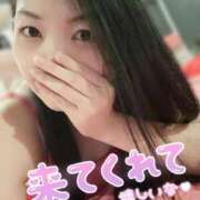 ヒメ日記 2025/03/31 11:20 投稿 いおり チューリップ土浦店