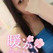 ヒメ日記 2025/04/11 09:00 投稿 いおり チューリップ土浦店