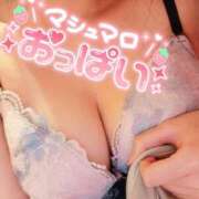 ヒメ日記 2025/07/31 14:29 投稿 いおり チューリップ土浦店