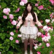 ヒメ日記 2025/05/02 11:05 投稿 ひめ ぽちゃ巨乳専門　新大久保・新宿歌舞伎町ちゃんこ