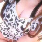 ヒメ日記 2025/05/02 23:22 投稿 ひめ ぽちゃ巨乳専門　新大久保・新宿歌舞伎町ちゃんこ