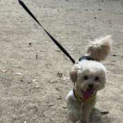 ヒメ日記 2025/05/31 13:45 投稿 ひめ ぽちゃ巨乳専門　新大久保・新宿歌舞伎町ちゃんこ