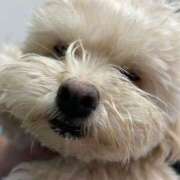 ヒメ日記 2025/07/27 18:30 投稿 ひめ ぽちゃ巨乳専門　新大久保・新宿歌舞伎町ちゃんこ