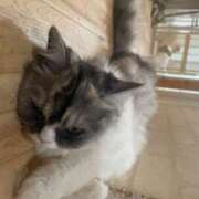 ヒメ日記 2025/07/09 09:12 投稿 れこあ buzz-B