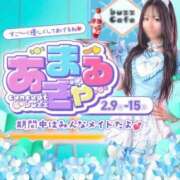 ヒメ日記 2026/02/10 20:03 投稿 れこあ buzz-B