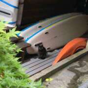 ヒメ日記 2026/02/23 10:21 投稿 れこあ buzz-B