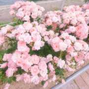 ヒメ日記 2025/06/13 11:29 投稿 よぞら 小岩人妻花壇