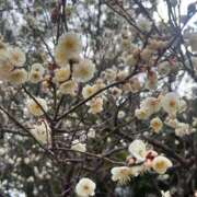 ヒメ日記 2025/03/09 11:39 投稿 もな ぽっちゃりプリンセス