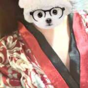 ヒメ日記 2025/04/26 19:24 投稿 みさ さくらん