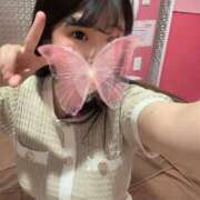 ヒメ日記 2025/02/13 09:14 投稿 あい チューリップ福井本館