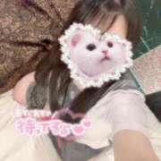 ヒメ日記 2024/12/23 11:18 投稿 おと ぷるりんクエスト上野浅草鶯谷秋葉原デリヘル王国