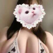 ヒメ日記 2024/12/27 11:18 投稿 おと ぷるりんクエスト上野浅草鶯谷秋葉原デリヘル王国