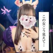 ヒメ日記 2025/01/24 19:18 投稿 おと ぷるりんクエスト上野浅草鶯谷秋葉原デリヘル王国