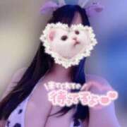 ヒメ日記 2025/02/06 11:18 投稿 おと ぷるりんクエスト上野浅草鶯谷秋葉原デリヘル王国