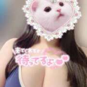 ヒメ日記 2025/02/07 18:18 投稿 おと ぷるりんクエスト上野浅草鶯谷秋葉原デリヘル王国