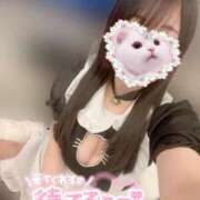 ヒメ日記 2025/03/14 19:03 投稿 おと ぷるりんクエスト上野浅草鶯谷秋葉原デリヘル王国