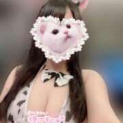 ヒメ日記 2025/03/22 11:32 投稿 おと ぷるりんクエスト上野浅草鶯谷秋葉原デリヘル王国