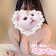 ヒメ日記 2025/04/12 10:09 投稿 おと ぷるりんクエスト上野浅草鶯谷秋葉原デリヘル王国