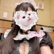 ヒメ日記 2025/05/22 11:30 投稿 おと ぷるりんクエスト上野浅草鶯谷秋葉原デリヘル王国