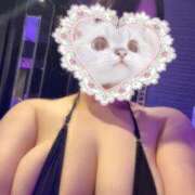 ヒメ日記 2025/08/01 23:27 投稿 おと ぷるりんクエスト上野浅草鶯谷秋葉原デリヘル王国