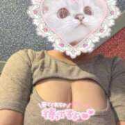 ヒメ日記 2025/11/19 12:27 投稿 おと ぷるりんクエスト上野浅草鶯谷秋葉原デリヘル王国