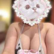 ヒメ日記 2025/11/25 22:27 投稿 おと ぷるりんクエスト上野浅草鶯谷秋葉原デリヘル王国