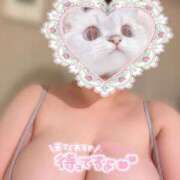 ヒメ日記 2026/04/27 09:27 投稿 おと ぷるりんクエスト上野浅草鶯谷秋葉原デリヘル王国