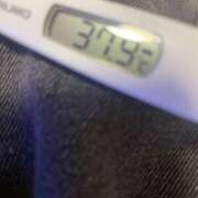 あおは ごめんなさい 舐めていいとも！柏店