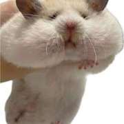 ヒメ日記 2025/09/29 02:29 投稿 愛莉(アイリ) グランドオペラ名古屋