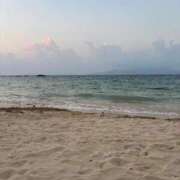 ヒメ日記 2025/10/08 11:24 投稿 愛莉(アイリ) グランドオペラ名古屋