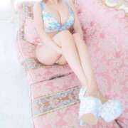 ヒメ日記 2024/12/14 18:00 投稿 はるの ゴールドクイーン