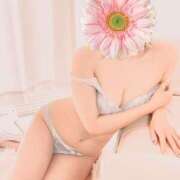 ヒメ日記 2024/12/21 19:30 投稿 はるの ゴールドクイーン