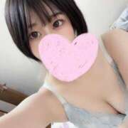 ヒメ日記 2025/01/31 16:00 投稿 はるの ゴールドクイーン