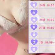 ヒメ日記 2025/02/21 12:00 投稿 はるの ゴールドクイーン