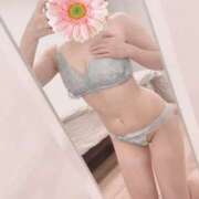 ヒメ日記 2025/05/06 10:25 投稿 はるの ゴールドクイーン