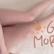 ヒメ日記 2025/06/07 09:34 投稿 はるの ゴールドクイーン