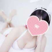 ヒメ日記 2025/08/14 10:25 投稿 はるの ゴールドクイーン